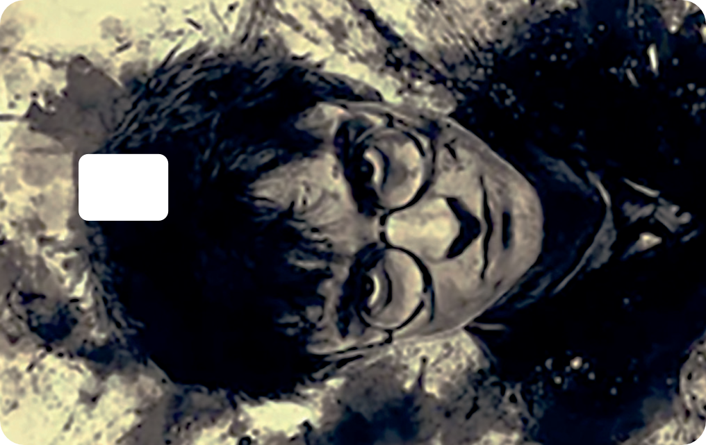 HARRY POTTER Card | Premium Sticker